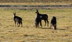 16.01.2011 042.JPG